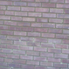 wall