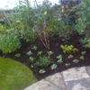 Planting